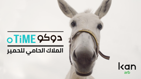 دوكوتايم | الملاك الحامي للحمير 