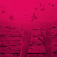 ידיים על גדר תיל