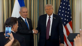 התוכנית