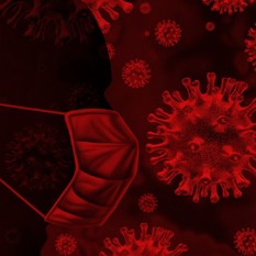 הדמיה של נגיף קורונה