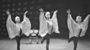 WEB כוורת.כאן ארכיון WEB כוורת