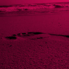 כף רגל בחול