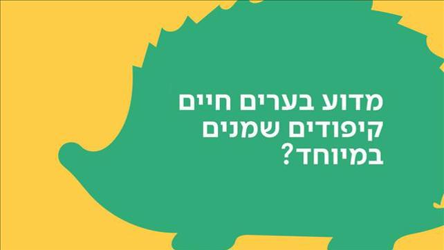 באנר קיפוד