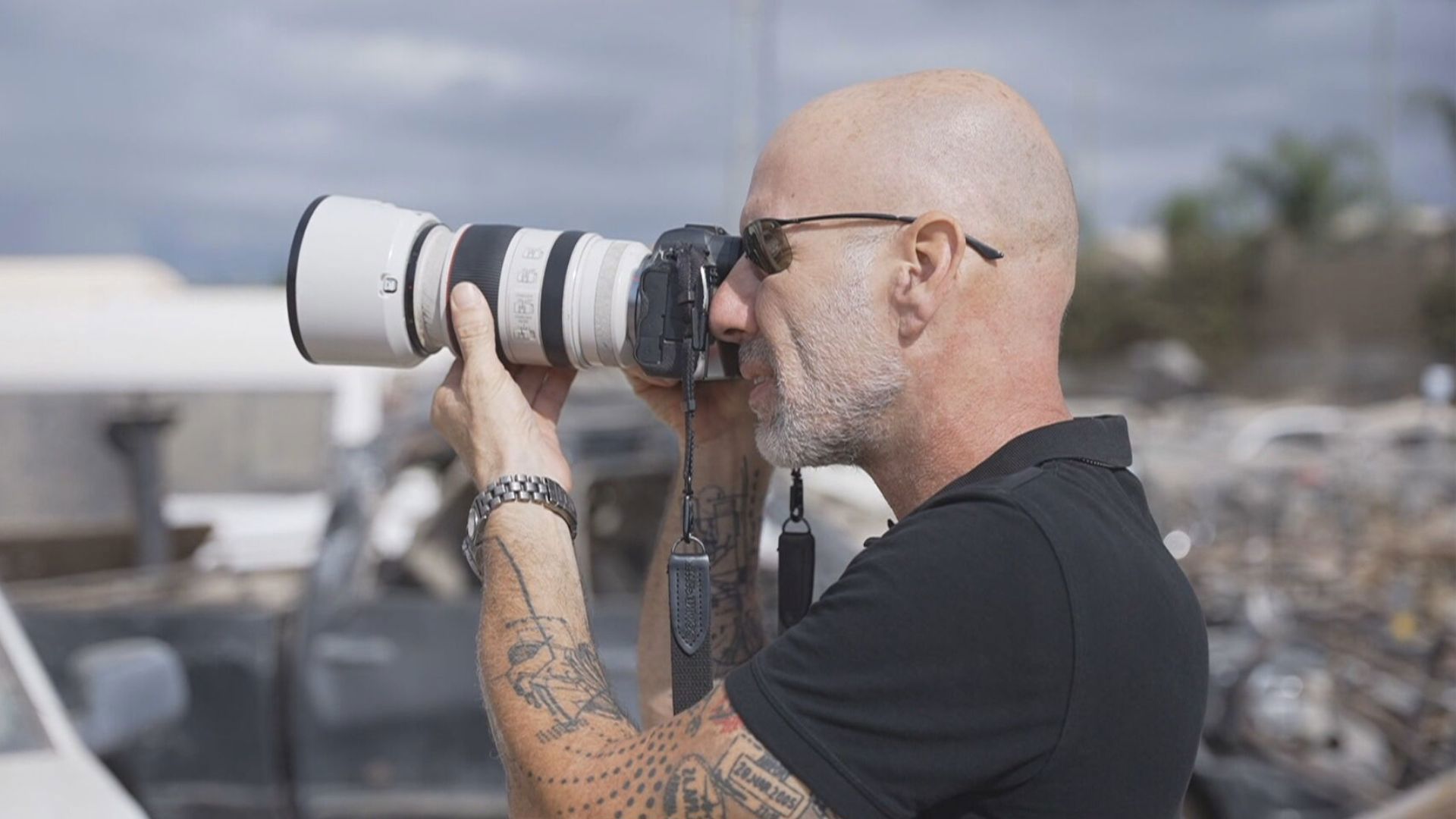 זיו קורן, ארכיון