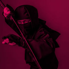 לוחם נינג'ה