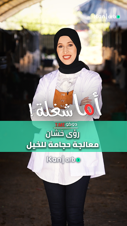 حجامة للخيل