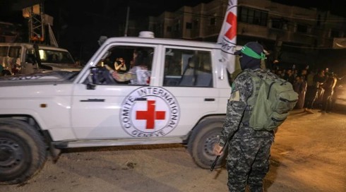 الصليب الاحمر