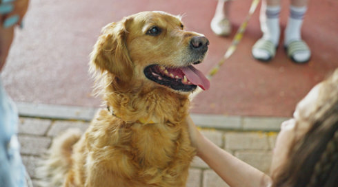 שקשוקה 7 פרק 19