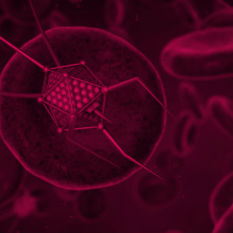 מפגש בין פיזיקה לביולוגיה