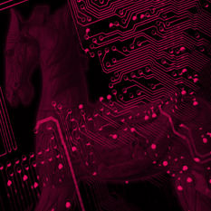 הדמיה: סוס טרויאני