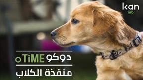دوكوتايم | | مُنقذة الكلاب