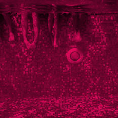 משכשכים רגליים