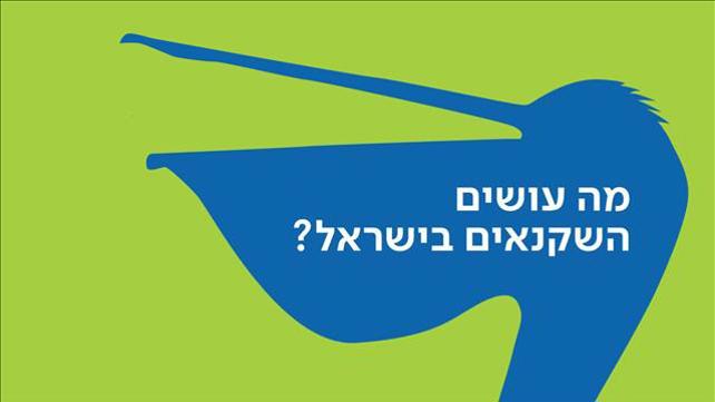 באנר שקנאי