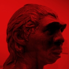 פסל וגולגולת של ניאנדטל