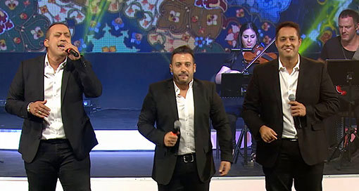 הפרויקט של רביבו. 2016