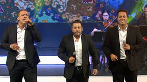 הפרויקט של רביבו. 2016