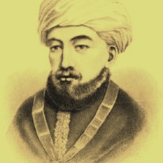cat27621_img144185481.jpg