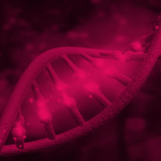 שרשרת DNA