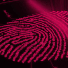 עדיין מתבססים על טביעות אצבעות