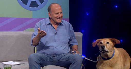 דליק ווליניץ והכלב אריק . 2016