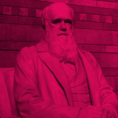 דיוקן של דארווין