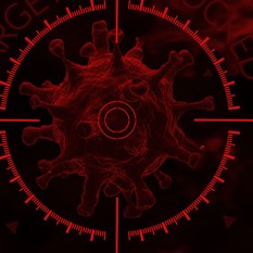 איור של נגיף קורונה על כוונת