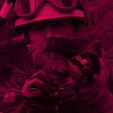 ניצלו בעור נוצותיהן