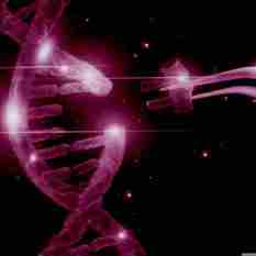 עריכה גנטית