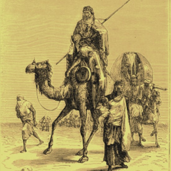 cat18797_img423873062.jpg