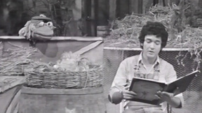 WEBתרנגולת.כאן ארכיון WEBתרנגולת