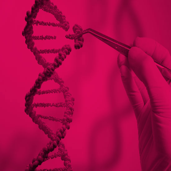 באמצעות CRISPR: חולים רופאו ממחלות תורשתיות