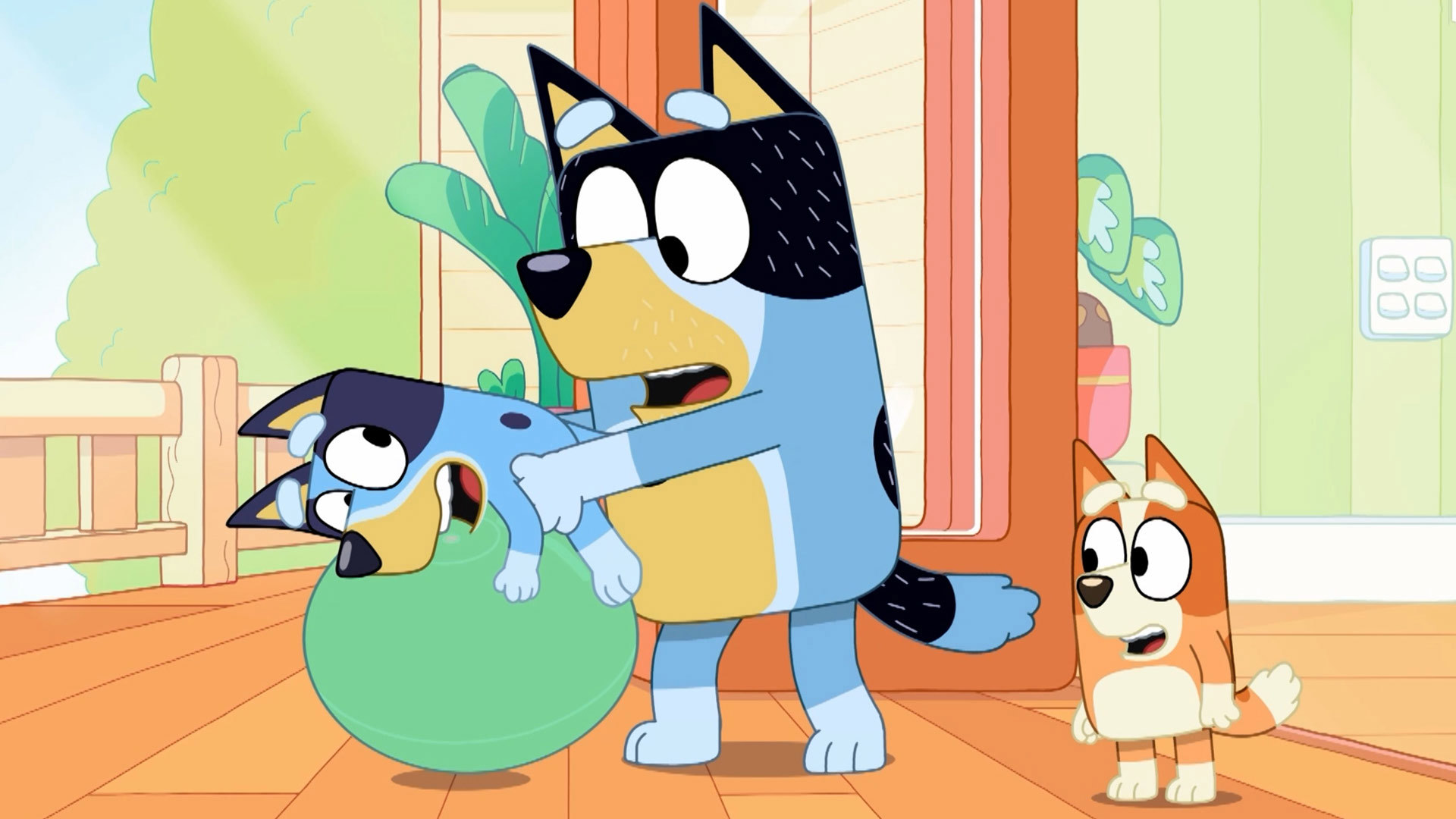 בלואי פרק 16