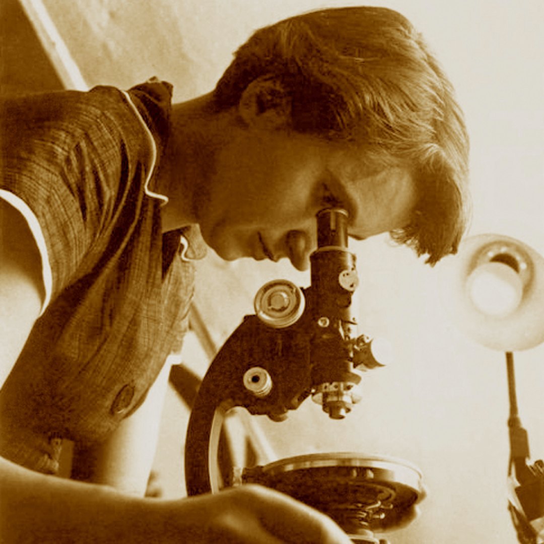 פרנקלין ריבוע