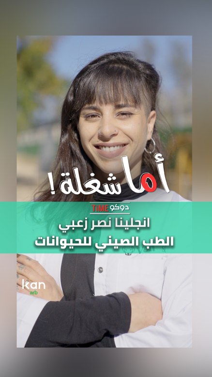 اما شغلة - علاج بالابر الصينية للحيوانات ver