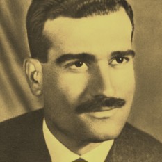 אלי כהן