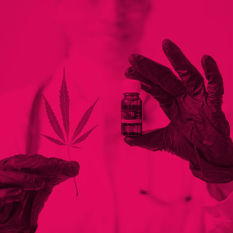 האנטיביוטיקה של הטבע