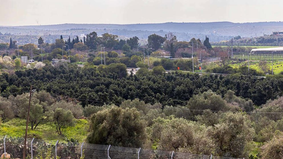 קיבוץ כברי