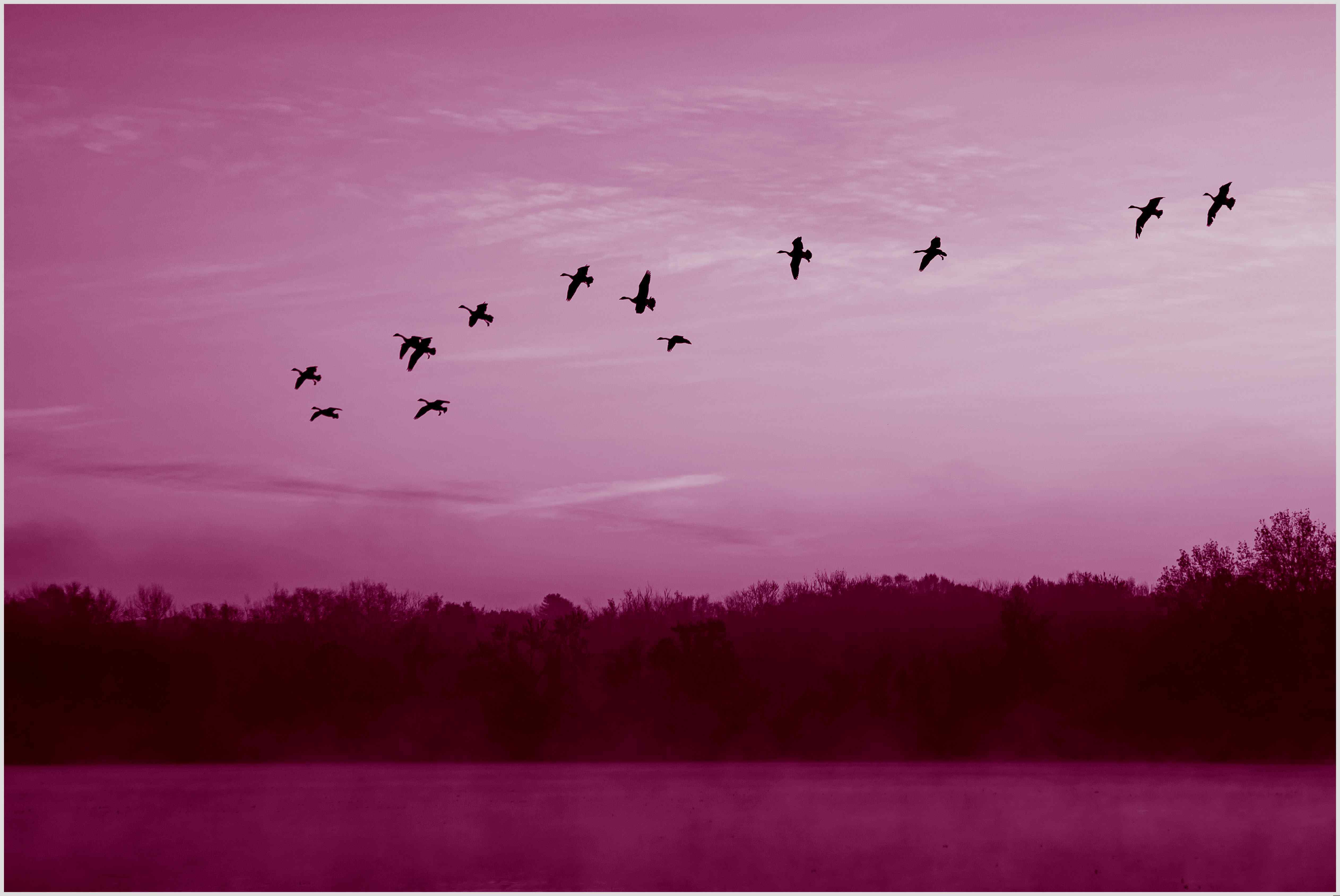 Shutterstock 1849779811