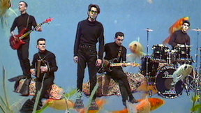 משינים מופיעים בדרך אל הים זהו זה. 1989