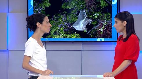 גלילאו עונה 10 פרק 9 - תיכון למנהלים