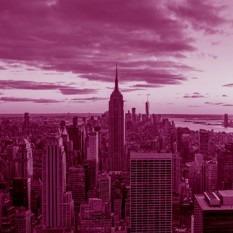 Shutterstock 1093885823