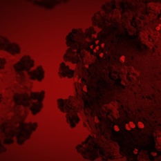 חלבון ספייק של נגיף קורונה