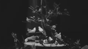 מסיבת שלום עם מצרים