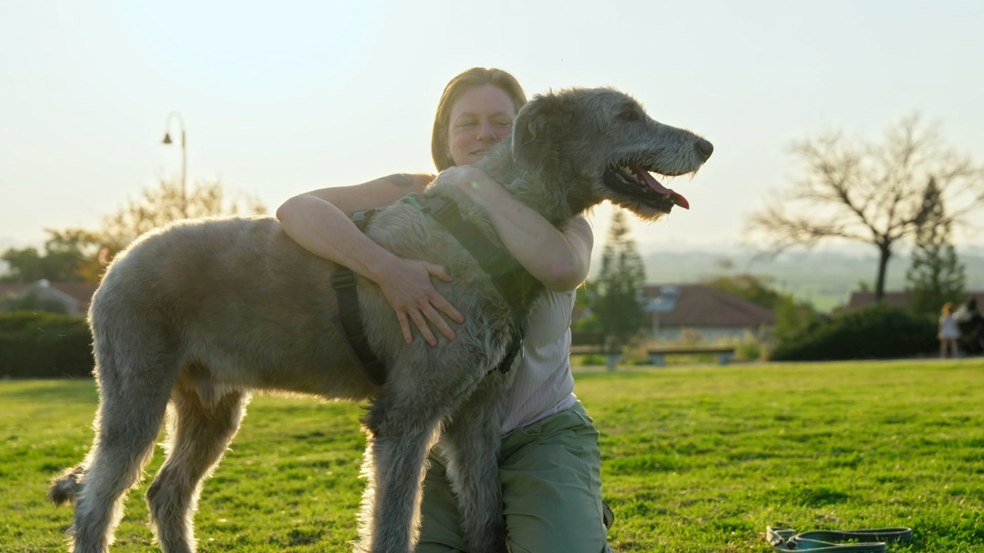 להציל את חיות הבית 3 פרק 8