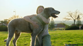 להציל את חיות הבית 3 פרק 8