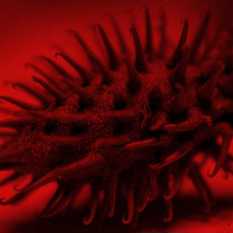 ביומימיקרי.Shutterstock ביומימיקרי