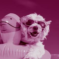 SHUTERSTUCK.SHUTERSTUCK SHUTERSTUCK