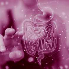 SHUTERSTUCK.SHUTERSTUCK SHUTERSTUCK