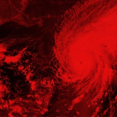 הוריקן איאן.shutterstock הוריקן איאן