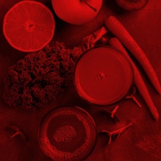 קייל, גזר ותפוז.shutterstock קייל, גזר ותפוז